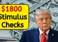 Stimulus Checks 2025: Latest Updates, Eligibility, State Payments & IRS FAQs